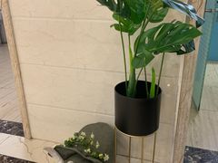 -派特宠物医院(圆融广场店)