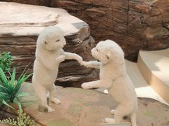 -陕西自然博物馆