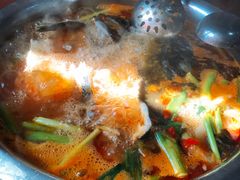 -大理.老字号渝记酸萝卜乌鱼(古城总店)