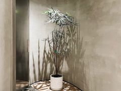 -二酉书店TOYOU BOOKS