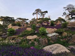 -罗红摄影艺术馆