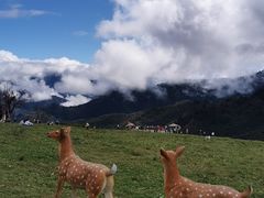 -硗碛藏寨·神木垒景区