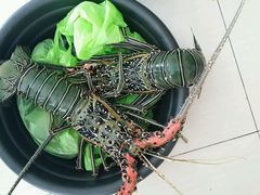 android_upload_pic-D'Talipapa