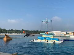 -秦皇岛乐岛海洋王国