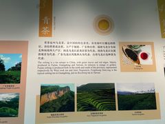 -中国茶叶博物馆(双峰馆区)
