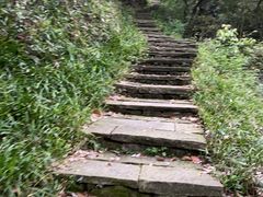 -杭州半山国家森林公园