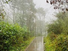 -青城山