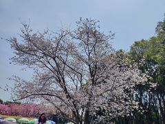 -凤凰沟景区