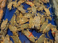 -三亚火车头万人海鲜广场