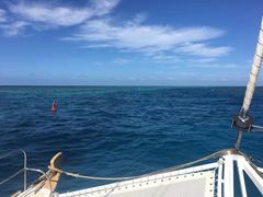 -斐济双桅帆船外岛一日游 浮潜 海钓 Tinhao号
