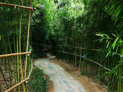 -竹子庵公园