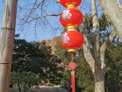 -上海醉白池公园