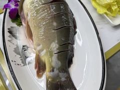 -小厨家松花江.鲜鱼坊(天麻滋补鱼汤店)