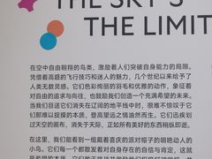-上海宝龙美术馆