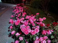 -北京园博大酒店