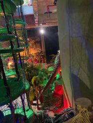 -恐龙探索乐园(磁器口店)