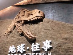 -柳州白莲洞洞穴科学博物馆
