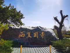 -张掖大佛寺景区