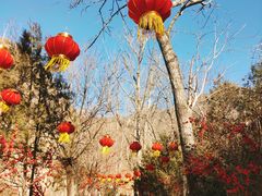 -灵溪风景区