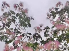 -燕郊植物园