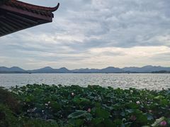 -湖畔居茶楼(湖滨店)