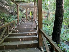 -大岭沟猕猴桃谷风景区