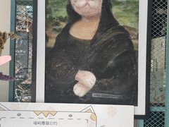 -喵屿·大理花园猫咖