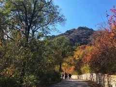 -北京鹫峰国家森林公园