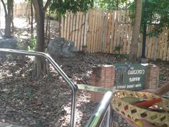 -清迈夜间动物园