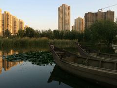 -前关湿地公园