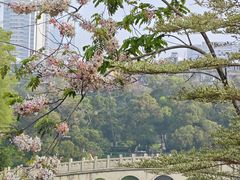 -四海公园(南山区)