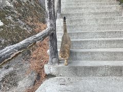 -华山风景名胜区