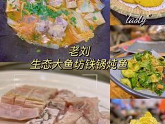 -老刘生态大鱼坊铁锅炖鱼(赛马场店)