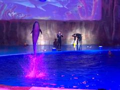 -华夏文旅海洋公园