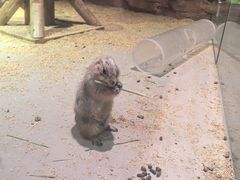 -正佳雨林生态植物园