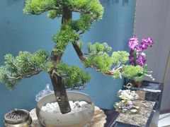 -深蓝盲人推拿·颈肩腰腿疼痛·艾灸调理(清河店)