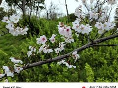 -广富林郊野公园