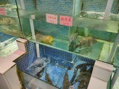 -东国海鲜火锅城(氹仔店)
