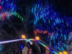 -弘阳·未来世界(弘阳广场店)