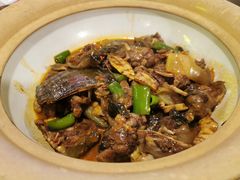 口味甲鱼-湘里乡亲甲王二老店