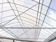 -马陆小张葡萄园农家乐