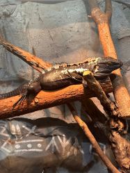 -Zoolung Zoolung动物主题公园(海信广场店)