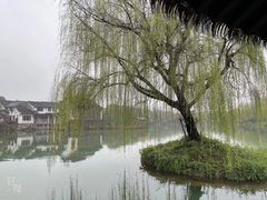 -乌镇望津里精品酒店