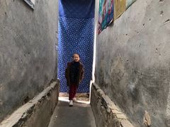 -南窖乡水峪村山情农家