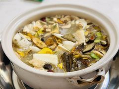 -山菌美食苑(振兴路店)