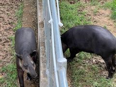 -石家庄市动物园