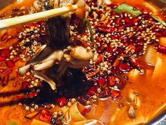 -宽口美蛙鱼头(大唐西市店)