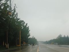 -法门文化景区