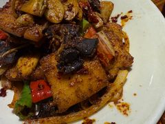 -柴窝堡22号辣子鸡·传承新疆菜