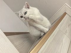 -潇湘楼(环保园店)